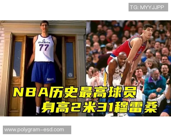 布鲁克洛佩斯：从篮筐之下的巨人到NBA全能战士的蜕变之路