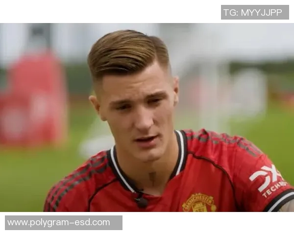 谢什科的传奇人生与篮球梦想：从草根到明星的奋斗历程