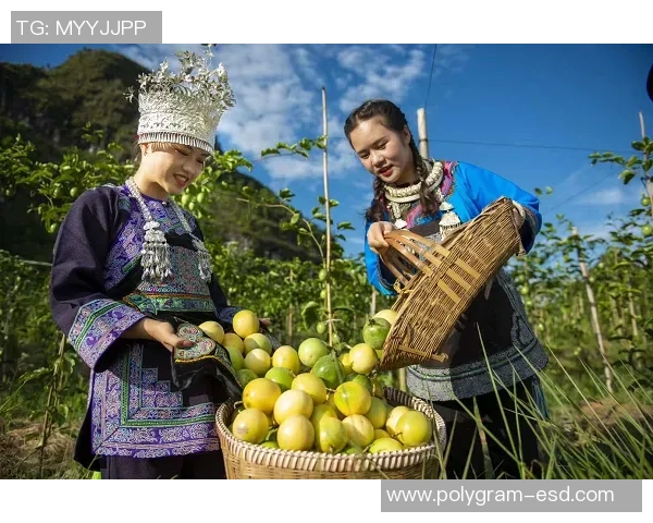 农林卫视节目表全新发布精彩内容一览助力乡村振兴与绿色发展