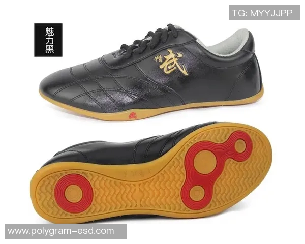 太极鞋的魅力与文化传承探秘：从传统到现代的完美结合